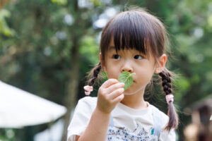 VƯỜN HOA CÔNG CHÚA ANNIE (安妮公主花園)