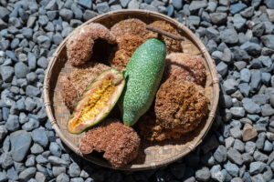 ÁI NGỌC (AYU) PHONG THỊNH (豐盛愛玉 )