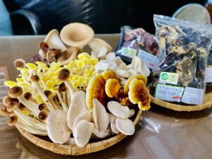 TRANG TRẠI NẤM HỮU CƠ HUỆ SINH TUYỀN (惠生泉有機菇場)
