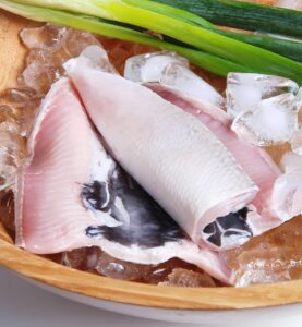 KHU TRƯNG BÀY CÁ MĂNG SỮA(虱目魚主題館)