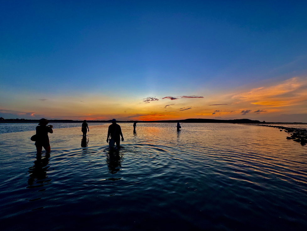 001澎湖湖東社區附近的潮間帶，充滿夕陽晚霞壯闊色彩之美與豐富的潮間帶生物006