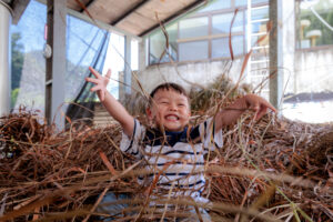 TRANG TRẠI NUÔI DÊ PHONG VIÊN (豐園羊牧場)