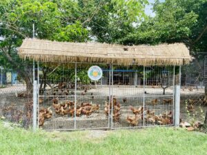 NHÀ CỦA NGƯỜI TRỒNG TRÁI CÂY( 果農之家 )