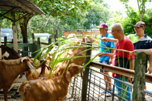 Nông trại Hỷ Dương Dương (囍羊羊牧場)