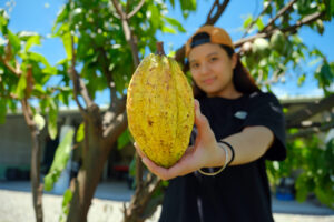 Trang trại Socola Cacao Yami (可可雅米巧克力莊園)