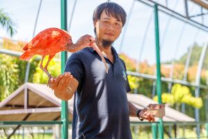 Công viên Động vật Cửu Cửu Phong (九九峰動物樂園)