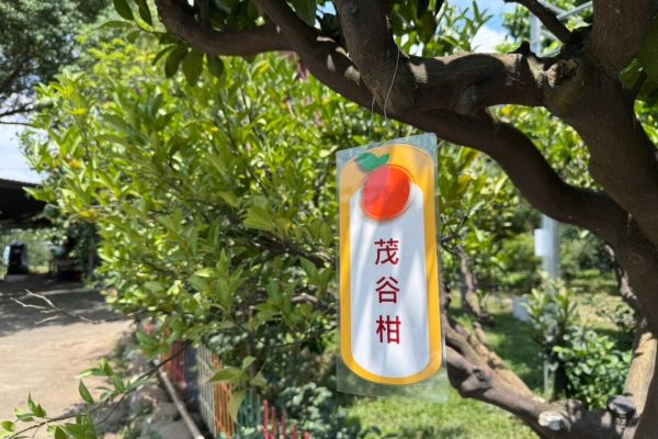 LINE_ALBUM_14102024_241014_3
